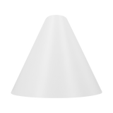 light cone